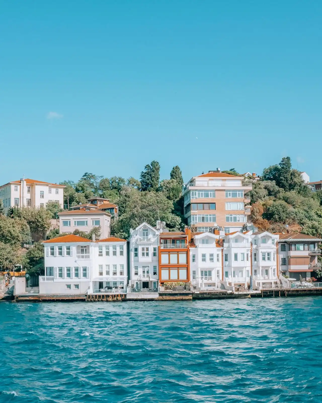 Bosphorus Boat Tours - Gallery Image 2